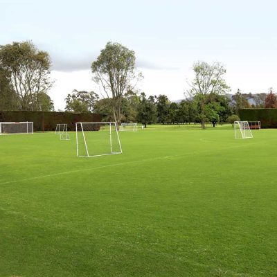 CANCHAS-REGLAMENTARIAS